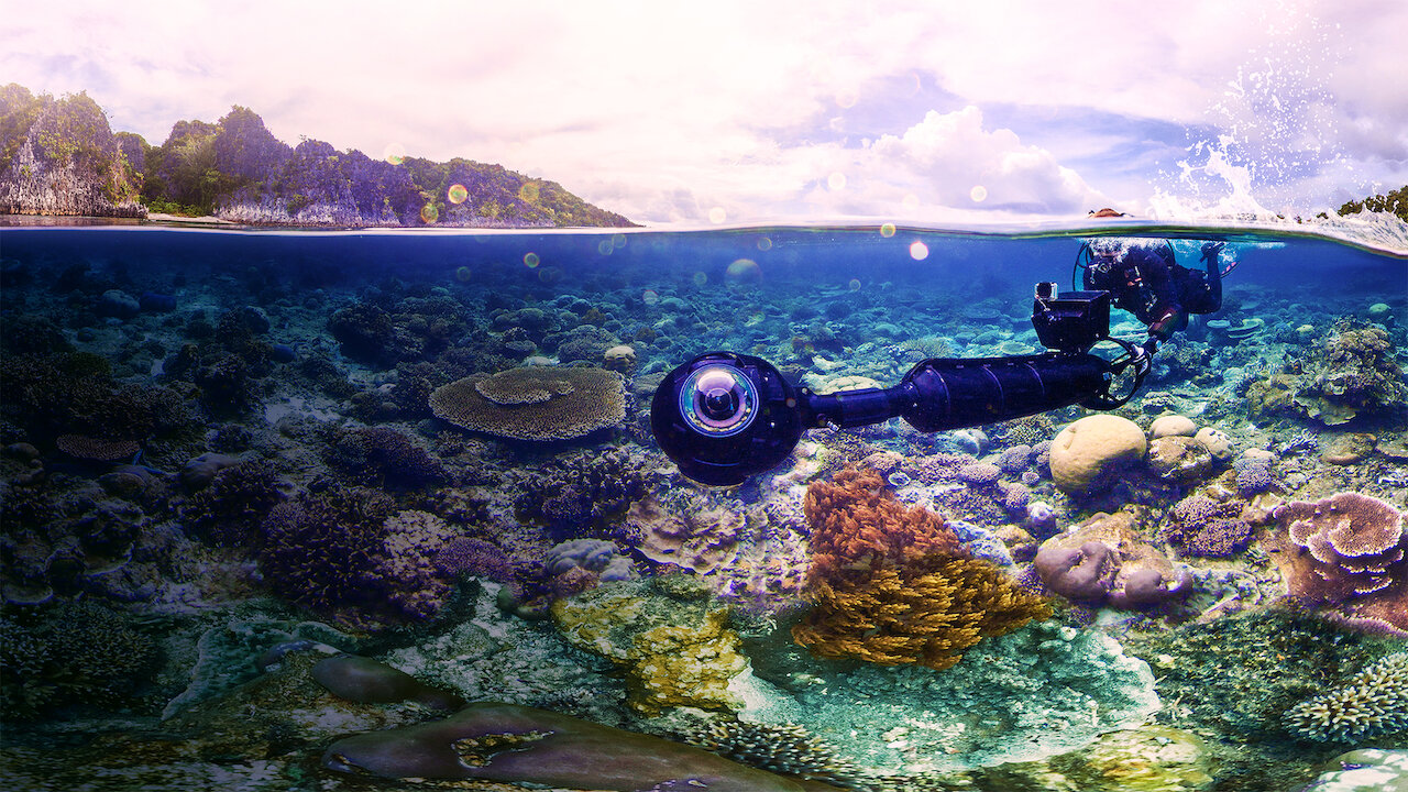 AAAABY359v84Rnf8xxg1jYf_30sSvp