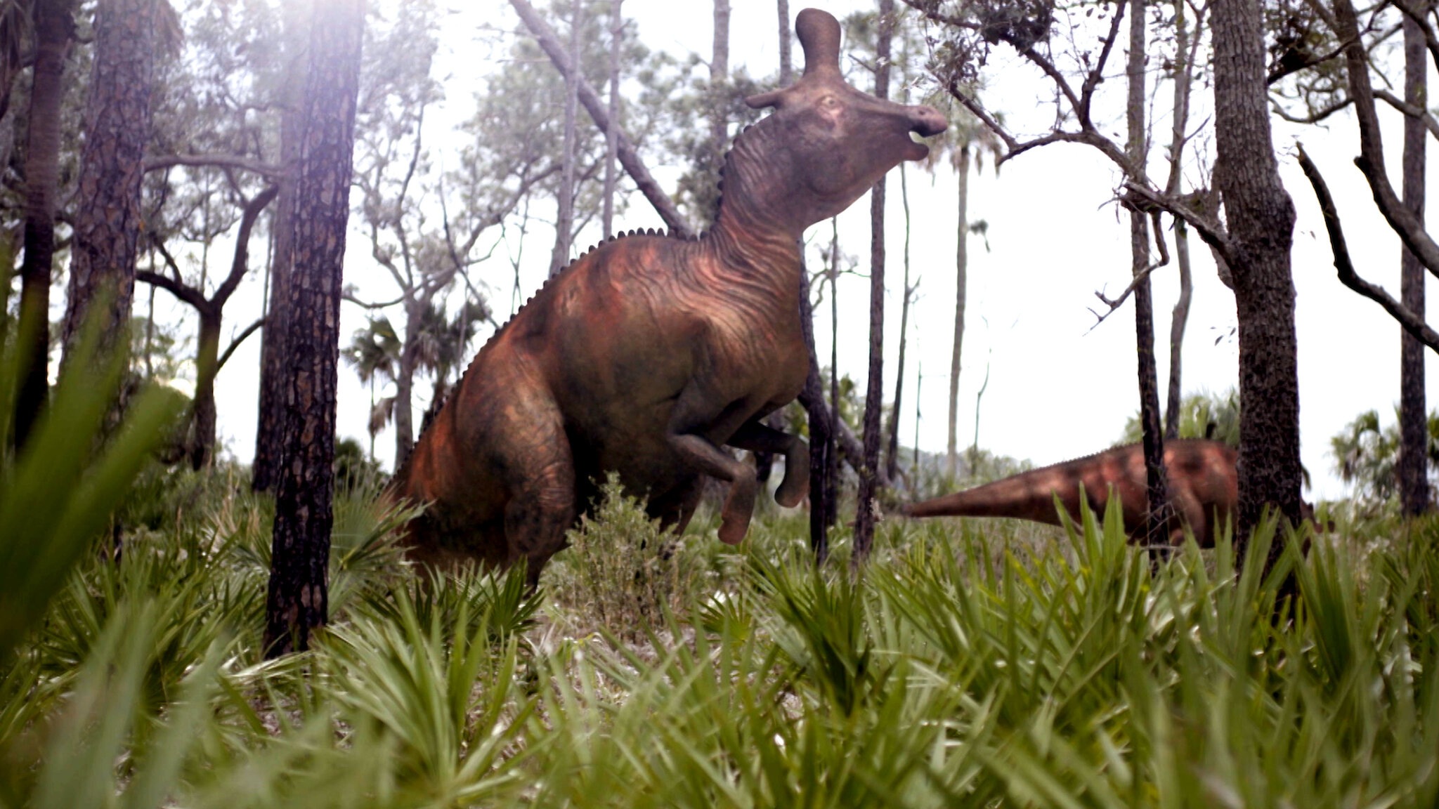 Hunting Dinosaurs Tv Show 60 Photos - Moonagedaydream.film