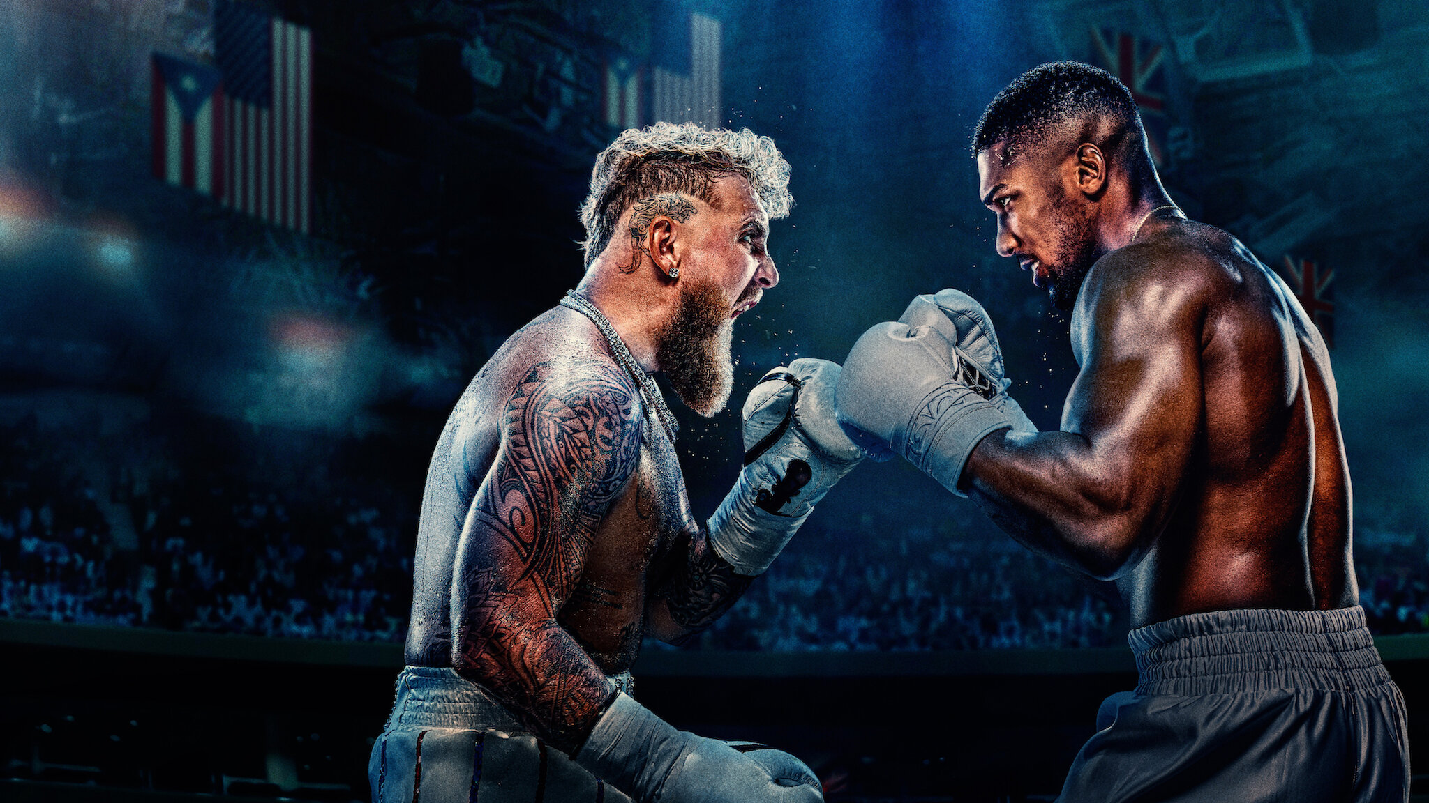 How to Watch Jake Paul Vs Anthony Joshua Live on Netflix Dates Fight Card And Preview 