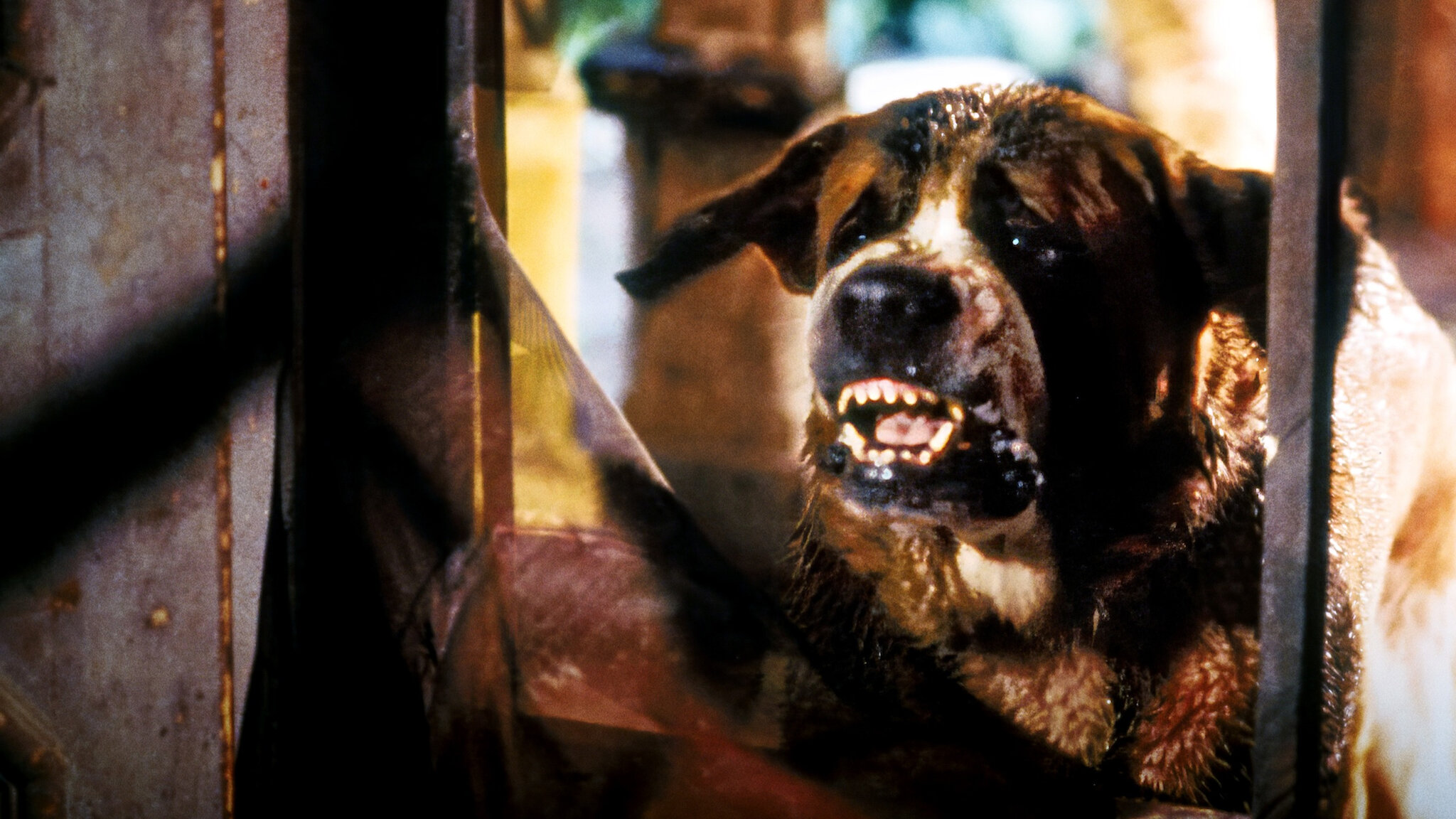 Watch Cujo | Netflix
