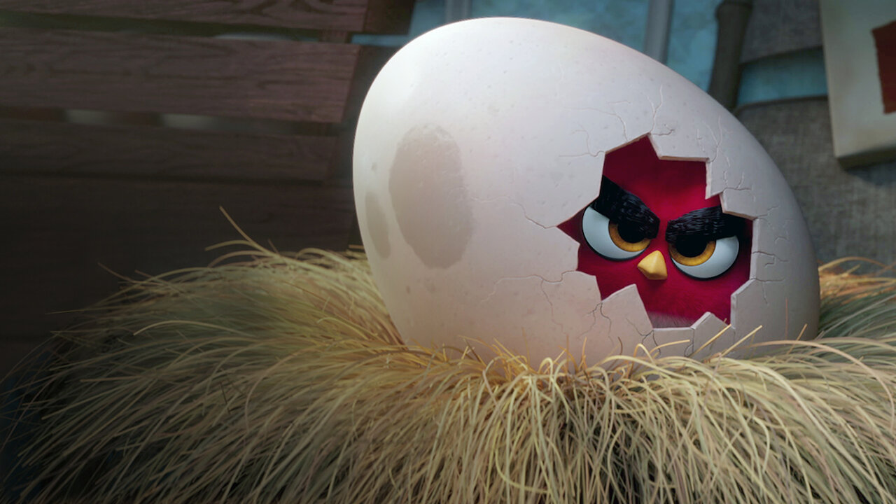 Bird Tribe Music, image size:1280x720