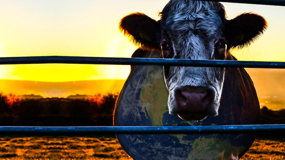Cowspiracy: El secreto de la sostenibilidad | Netflix