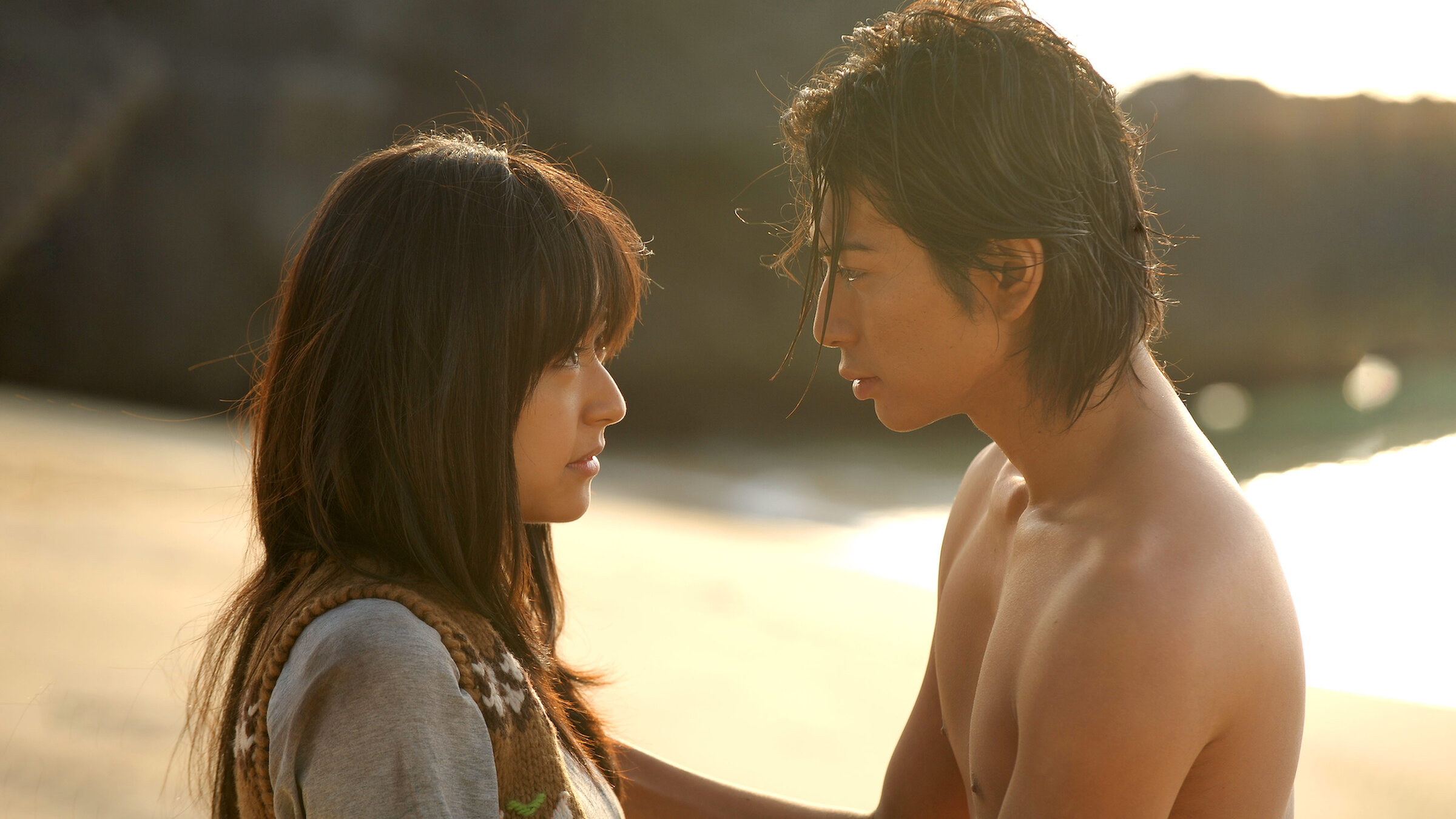 花より男子ファイナル 花より男子ファイナル スタンダード・エディション 中古DVD