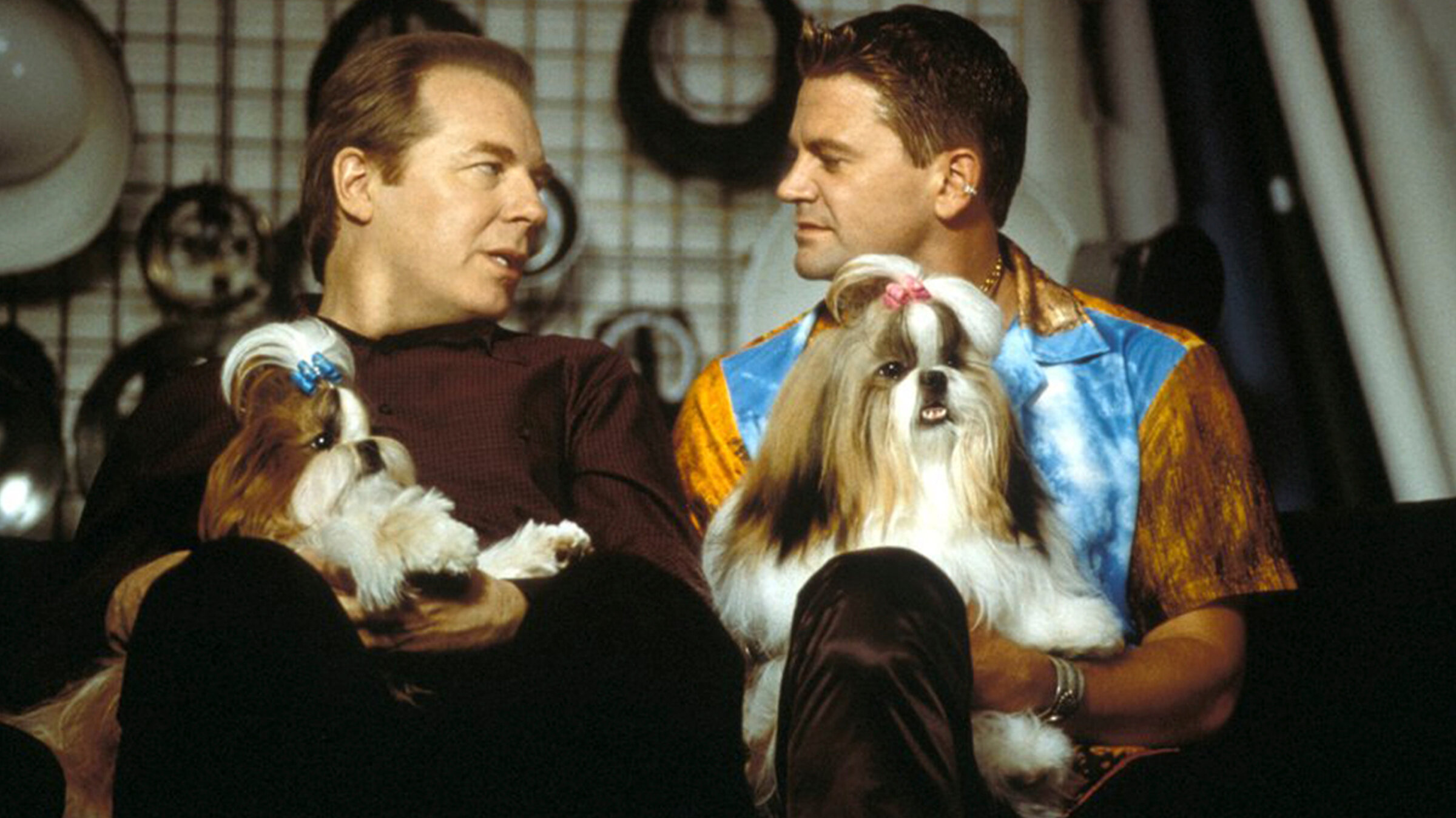 How To Watch the 2022 AKC National Championship Dog Show, image size:2400x1350