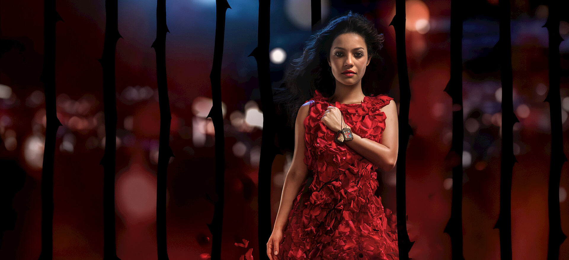 Watch The Rose Seller | Netflix