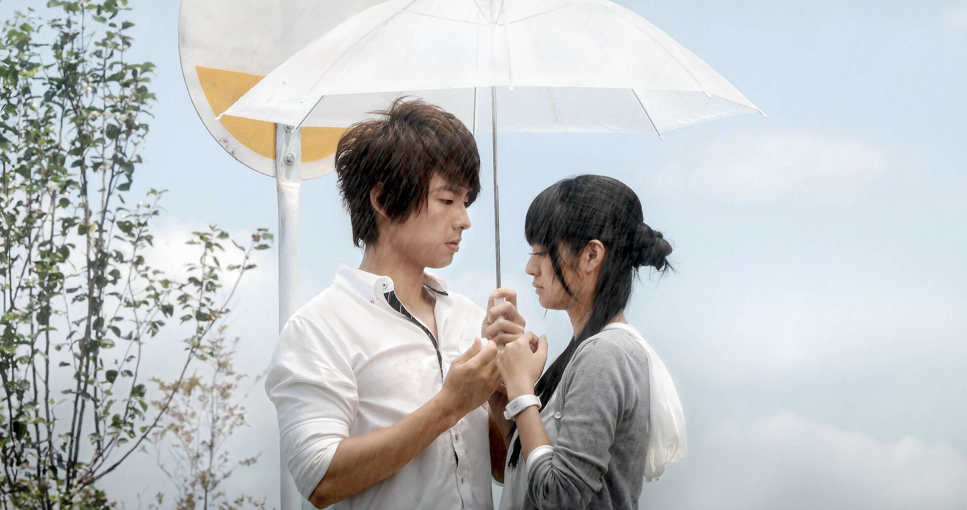 平中悠一　she's rain early autumn m74502368503_1.jpg?1733885653