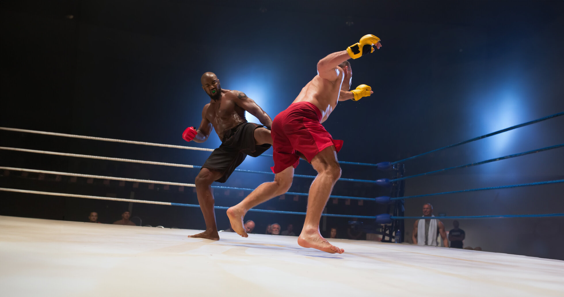 Never Back Down 3 Trailer