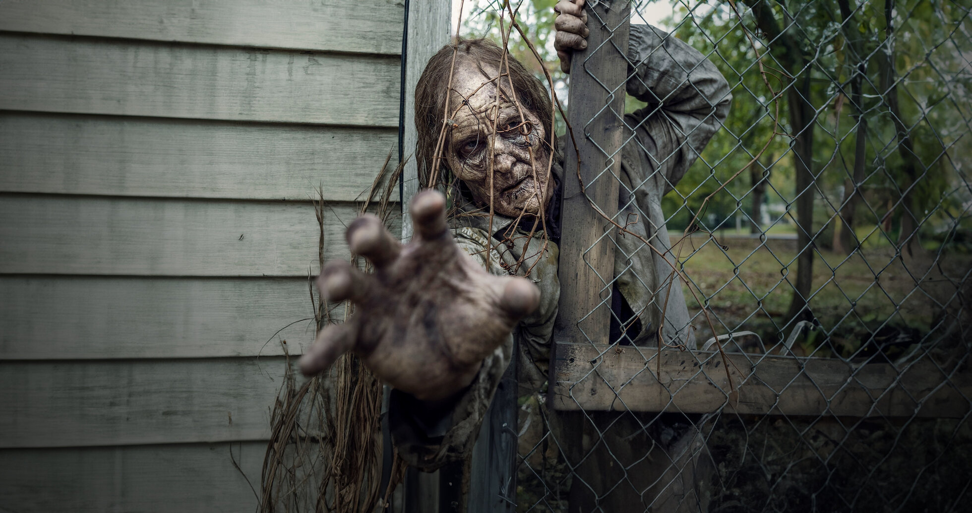 Watch The Walking Dead | Netflix
