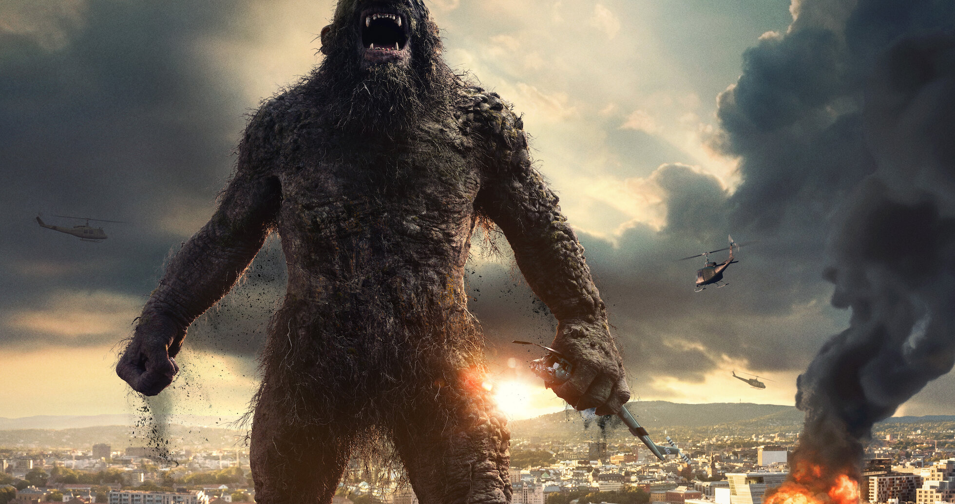 troll Watch Troll | Netflix Official Site